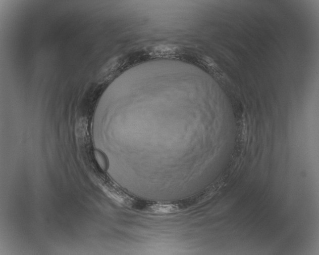 X0000080660711200701050943