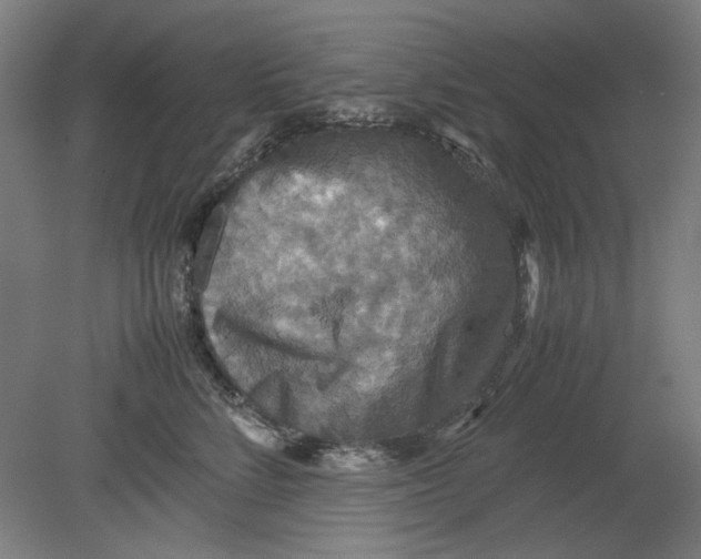 X0000080660712200701050943