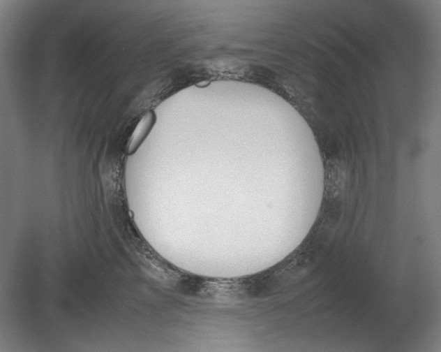 X0000080660713200701050943