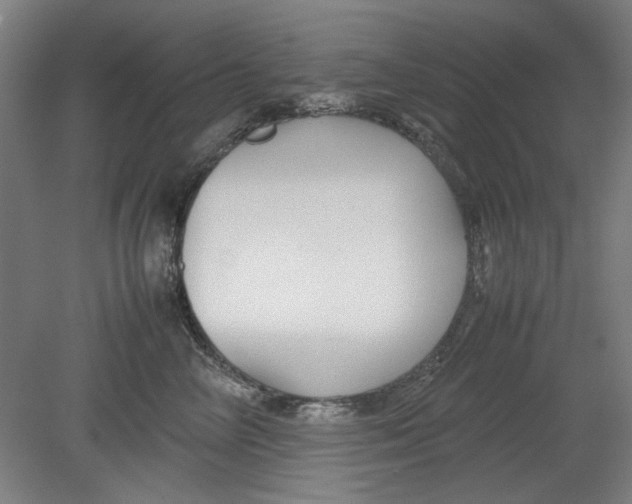 X0000080660714200701050943