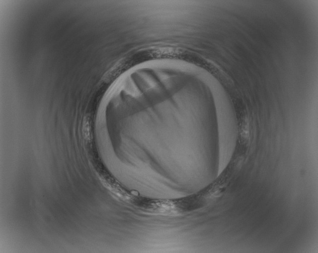 X0000080660715200701050943