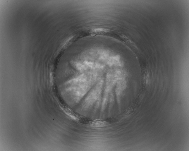 X0000080660716200701050943