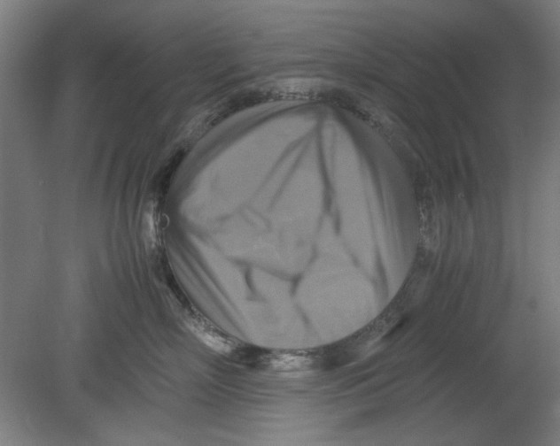 X0000080660718200701050943