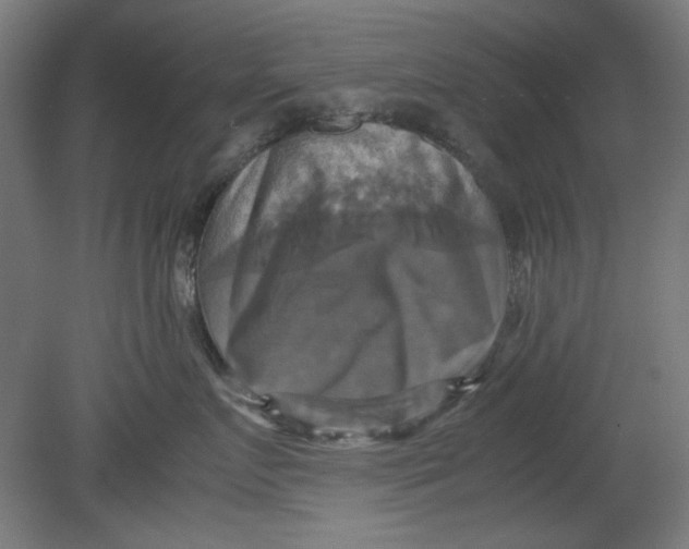 X0000080660719200701050942