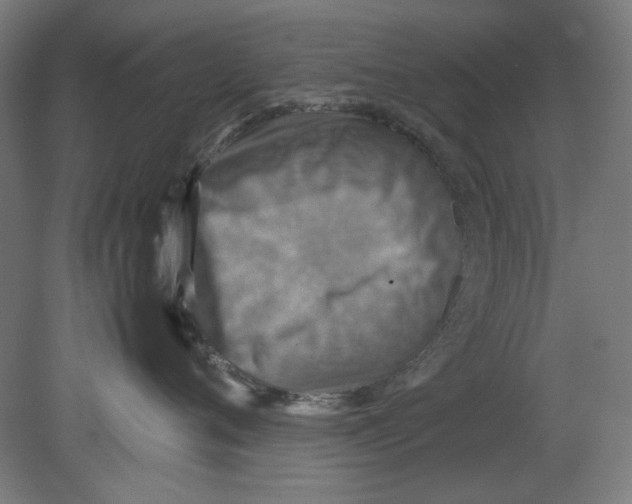 X0000080660720200701050942