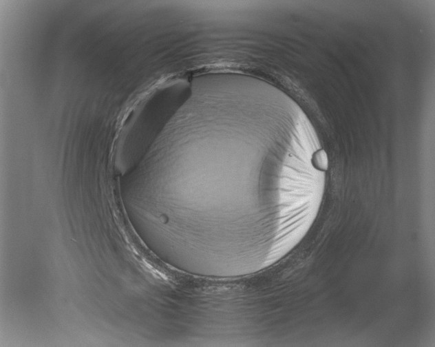 X0000080660721200701050942