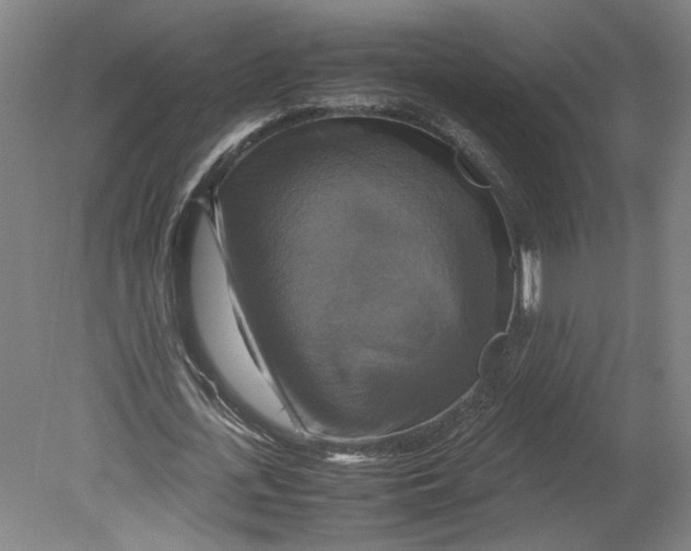 X0000080660723200701050942