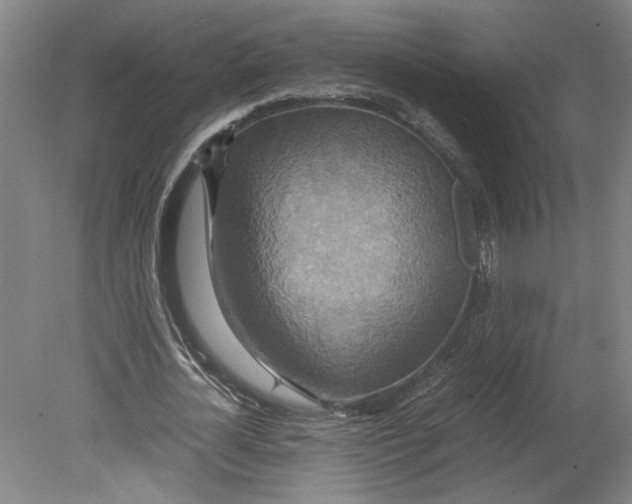 X0000080660724200701050942