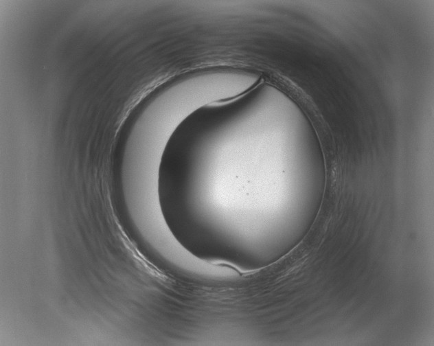 X0000080660725200701050942