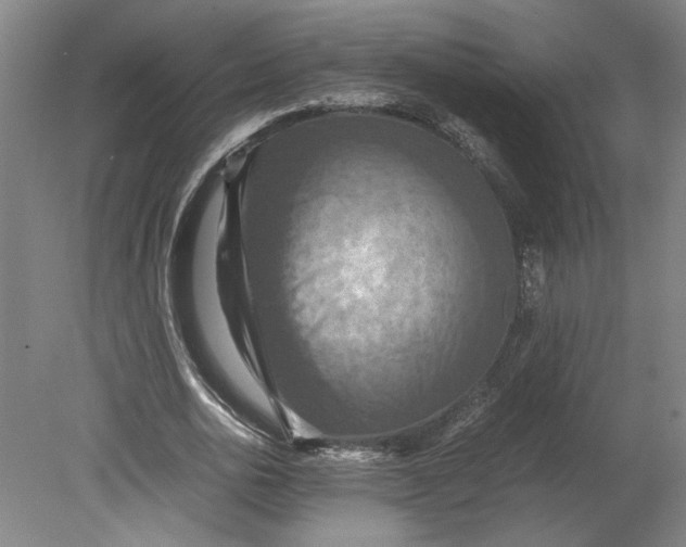 X0000080660726200701050942