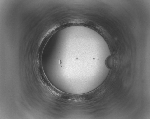 X0000080660727200701050942