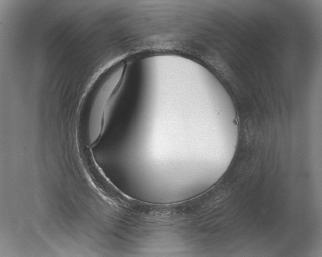 X0000080660728200701050942