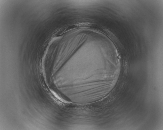 X0000080660729200701050942