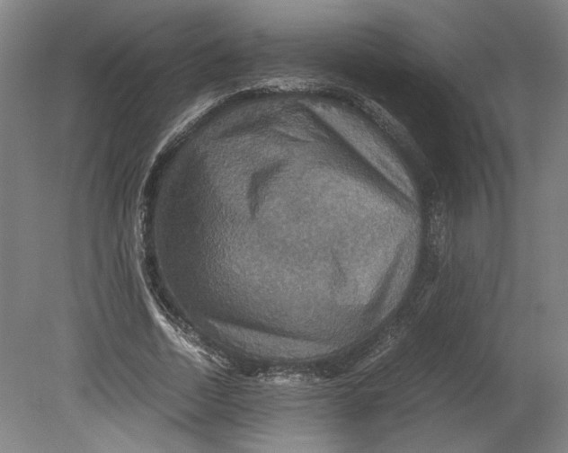 X0000080660730200701050942