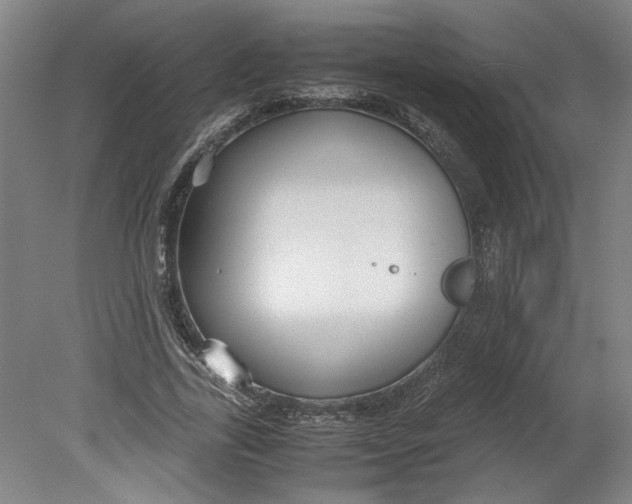 X0000080660731200701050942