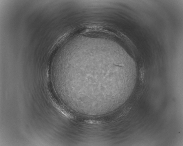 X0000080660733200701050942