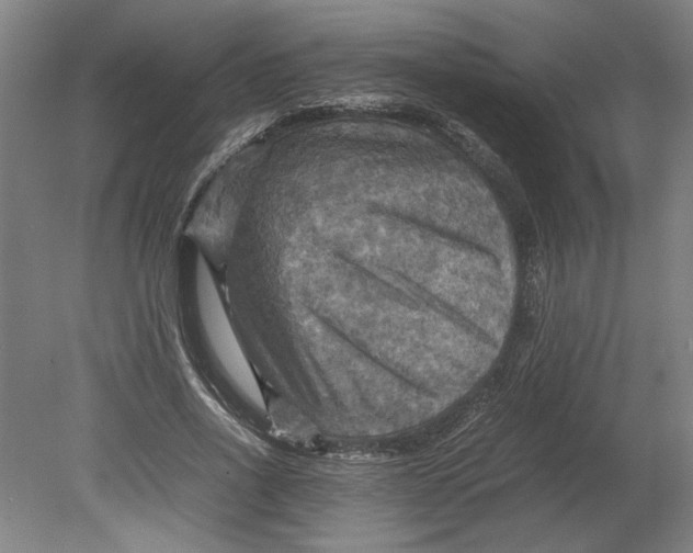 X0000080660734200701050942