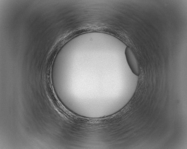 X0000080660736200701050942