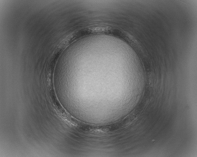 X0000080660737200701050942