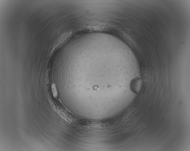 X0000080660738200701050942