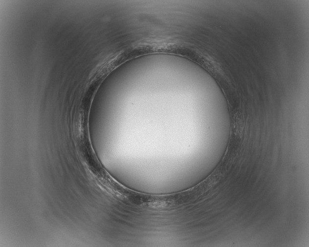 X0000080660740200701050942