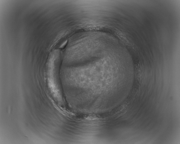 X0000080660742200701050942