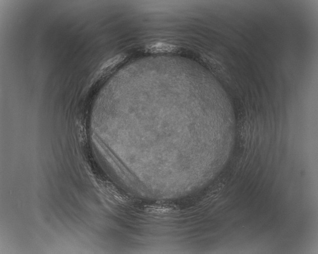 X0000080660743200701050942