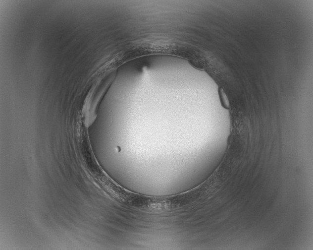 X0000080660744200701050942