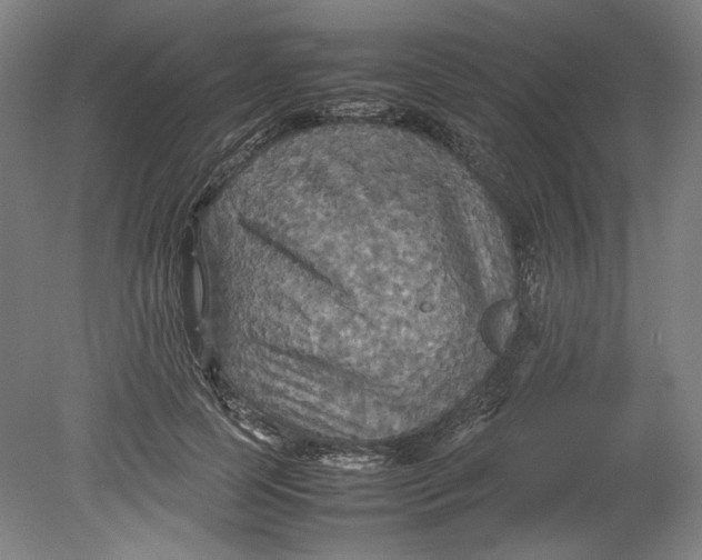 X0000080660745200701050942