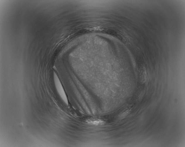 X0000080660747200701050942