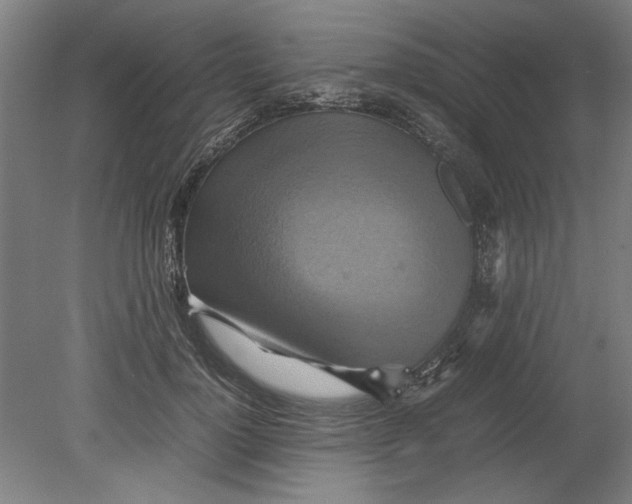 X0000080660748200701050942