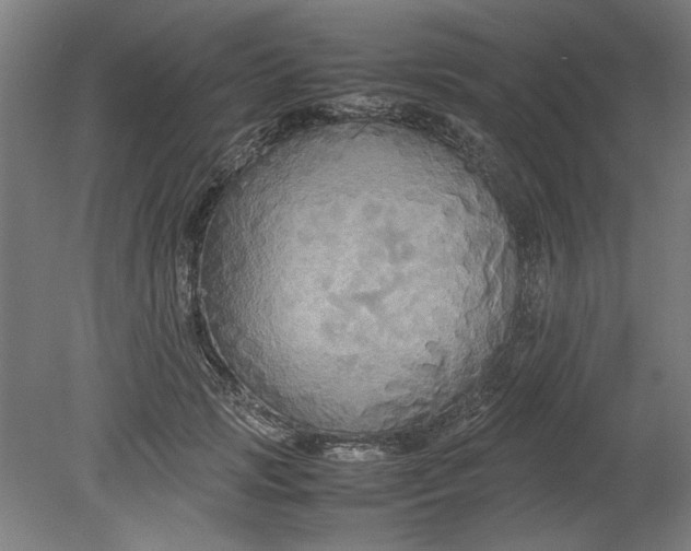 X0000080660749200701050942