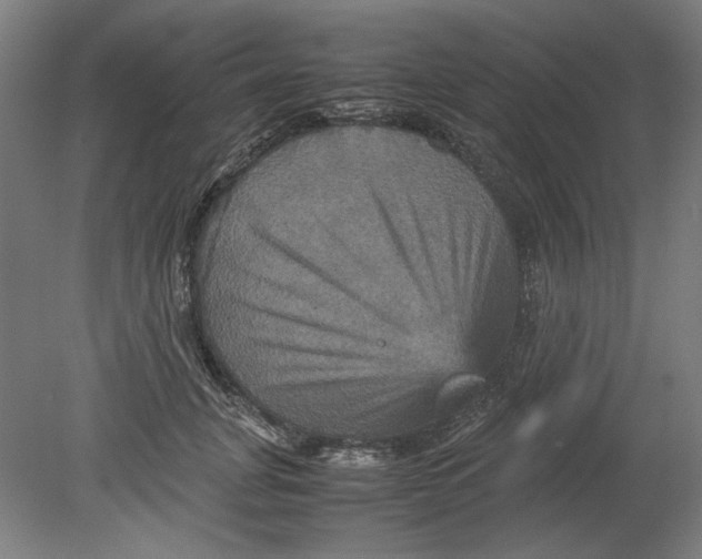 X0000080660751200701050942