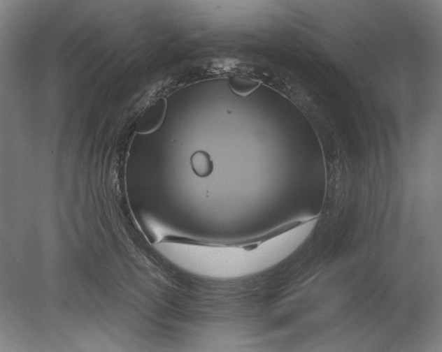 X0000080660754200701050942