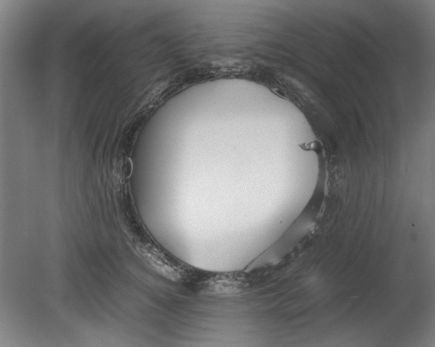 X0000080660756200701050942