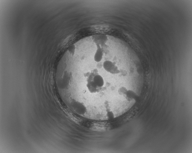 X0000080660757200701050942