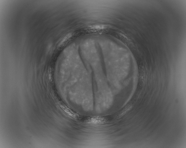 X0000080660758200701050942