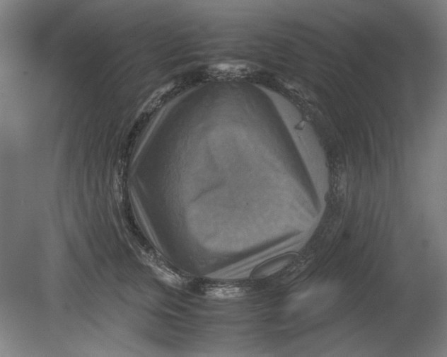 X0000080660759200701050942