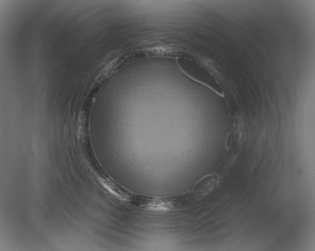 X0000080660760200701050942