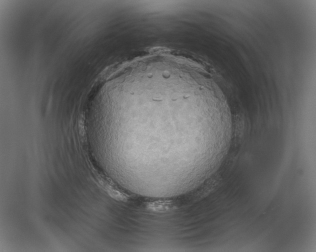 X0000080660761200701050942