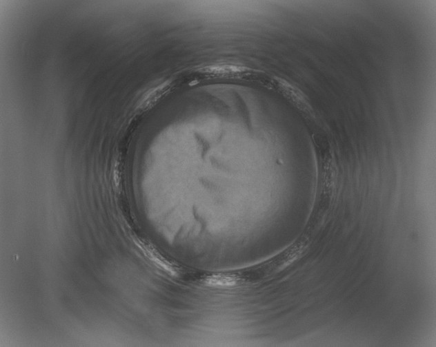 X0000080660762200701050942