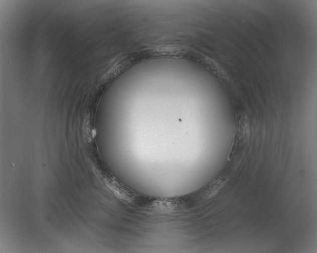 X0000080660764200701050942