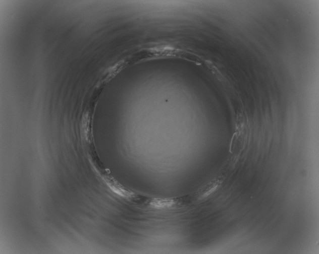 X0000080660767200701050942