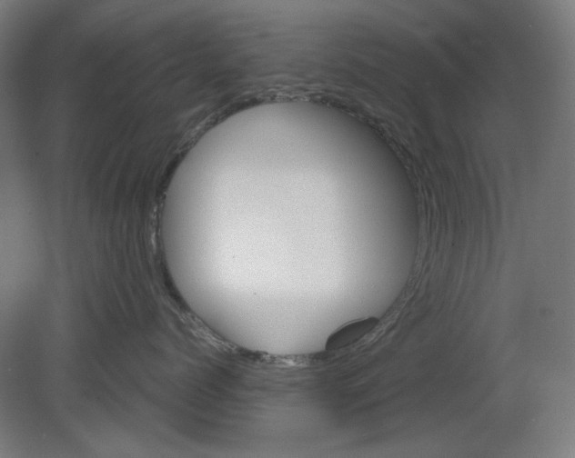 X0000080660768200701050942