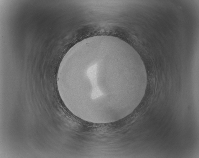 X0000080660769200701050942