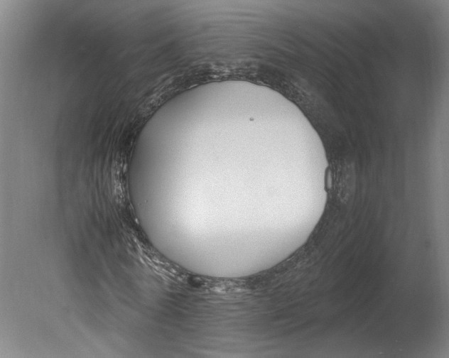 X0000080660770200701050942