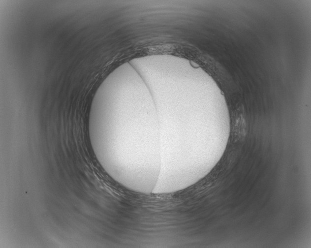 X0000080660772200701050942