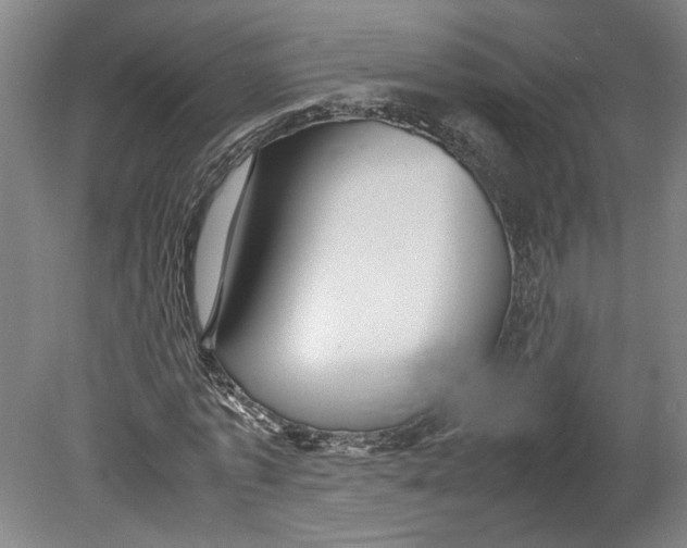 X0000080660773200701050942