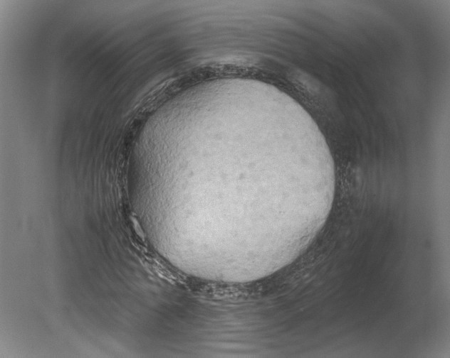 X0000080660774200701050942