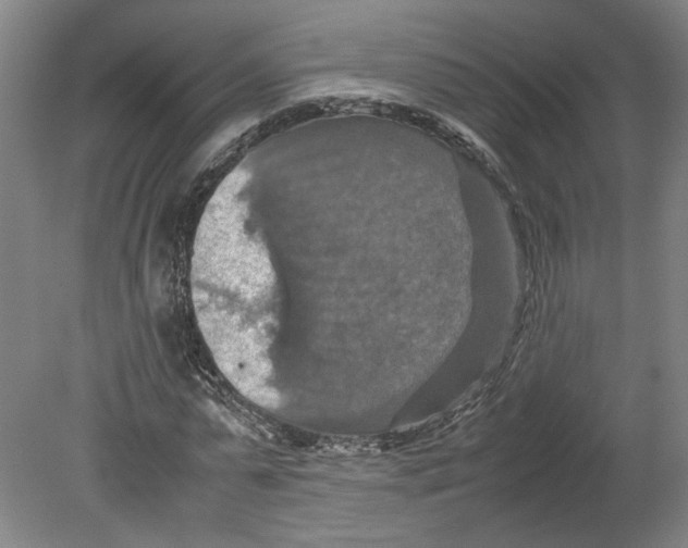 X0000080660775200701050942